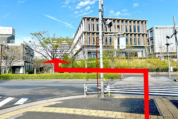 大学とクリニックの間を進む